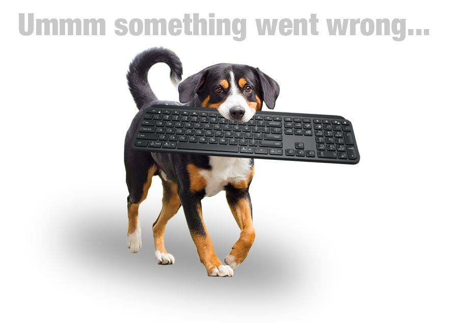 404 Error Image of Dog with Keyboard in Mouth